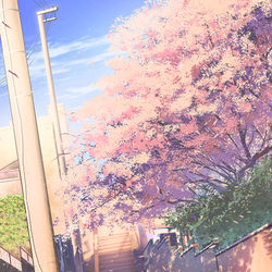 This is a pixiv picture whose title is 桜坂.