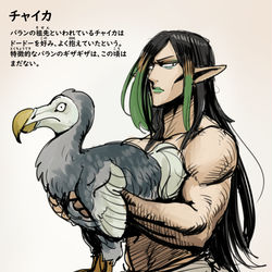 This is a pixiv picture whose title is いきものずかん：チャイカ.