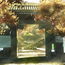 This is a pixiv picture whose title is 木漏れ日.