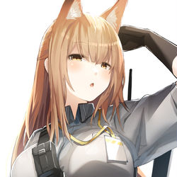 This is a pixiv picture whose title is 【アークナイツ】フランカ.