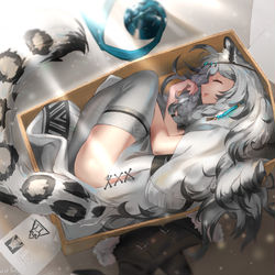 This is a pixiv picture whose title is Cat in the Box.