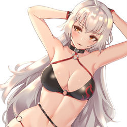 This is a pixiv picture whose title is FateGO.