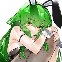 This is a pixiv picture whose title is C.C.ばにー.