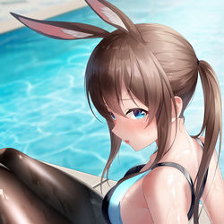 This is a pixiv picture whose title is Amiya.
