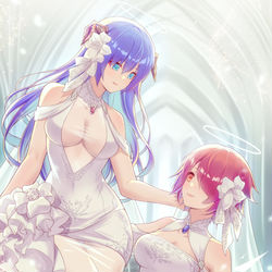 This is a pixiv picture whose title is 双天使的花嫁.