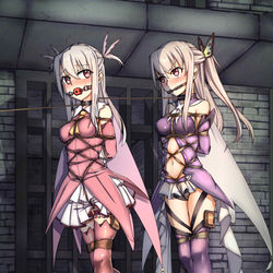 This is a pixiv picture whose title is 约稿-伊莉雅.