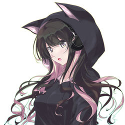 This is a pixiv picture whose title is 猫耳パーカー長波サマ.