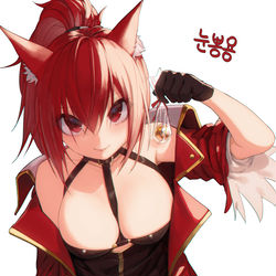 This is a pixiv picture whose title is 던파 커미션.