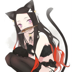 This is a pixiv picture whose title is ねこのひ.