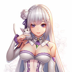 This is a pixiv picture whose title is エミリア.