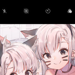 This is a pixiv picture whose title is 猫のようにVー.