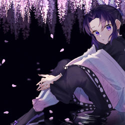 This is a pixiv picture whose title is 胡蝶しのぶ.