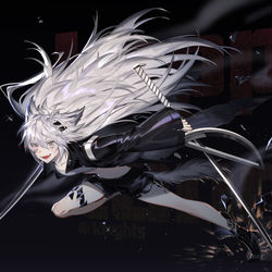This is a pixiv picture whose title is Lappland.