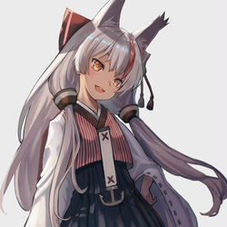 This is a pixiv picture whose title is 神風改.