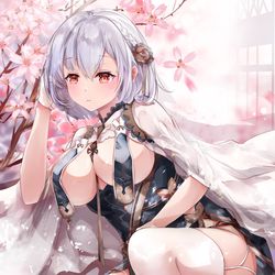 This is a pixiv picture whose title is 天狼星.