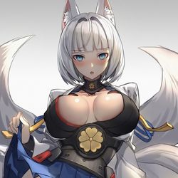 This is a pixiv picture whose title is 加贺.