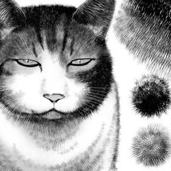 This is a pixiv picture whose title is 毛ブラシ３種セット.