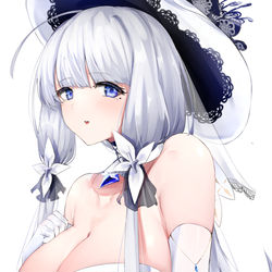 This is a pixiv picture whose title is イラストリアス.