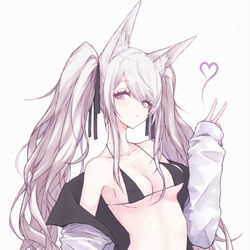 This is a pixiv picture whose title is ✌🦊.