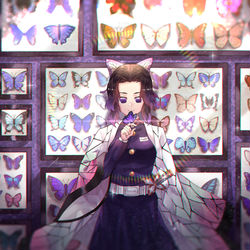 This is a pixiv picture whose title is 胡蝶しのぶ.