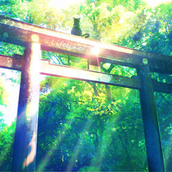 This is a pixiv picture whose title is 林荫.