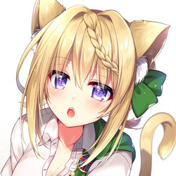 This is a pixiv picture whose title is パースにゃん.