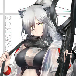This is a pixiv picture whose title is Schwarz.
