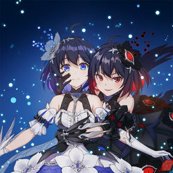 This is a pixiv picture whose title is Seele.