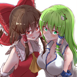 This is a pixiv picture whose title is 幻想郷の素敵な巫女さんたち.