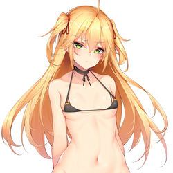 This is a pixiv picture whose title is アドミラル・ヒッパー水着.