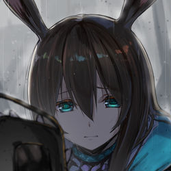 This is a pixiv picture whose title is アーミヤ.