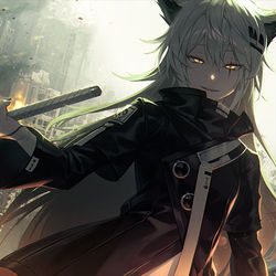 This is a pixiv picture whose title is ラップランド.