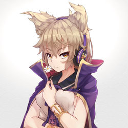 This is a pixiv picture whose title is 聖徳王.