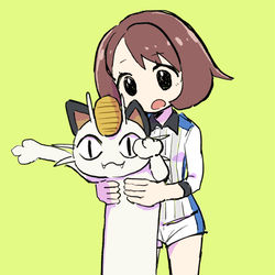 This is a pixiv picture whose title is 盾.