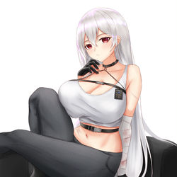 This is a pixiv picture whose title is 怠けぬ監視者.
