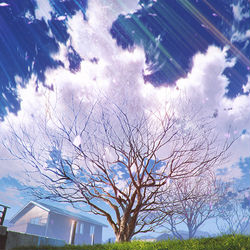 This is a pixiv picture whose title is 雲桜.