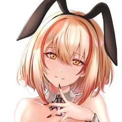 This is a pixiv picture whose title is バニーローンさん.