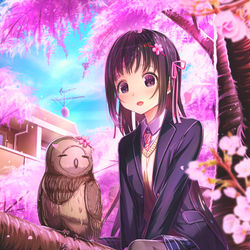 This is a pixiv picture whose title is 「ホーホー、ホロッホー！」.