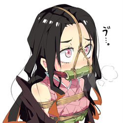 This is a pixiv picture whose title is ねずこ.