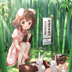 This is a pixiv picture whose title is てゐちゃんのアルバイト.