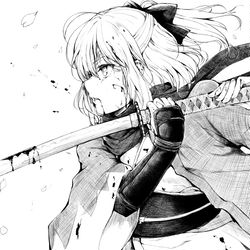 This is a pixiv picture whose title is 「我が秘剣の煌めき…受けるが良い―」.