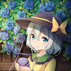 This is a pixiv picture whose title is こいし.