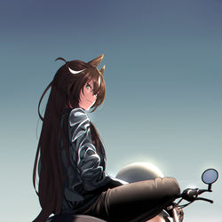 This is a pixiv picture whose title is Meteor.