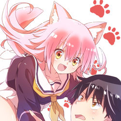This is a pixiv picture whose title is 群れなせ！シートン学園.