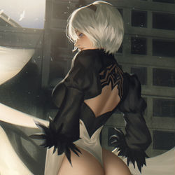 This is a pixiv picture whose title is Nier Automata 2B.