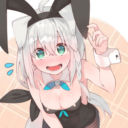 This is a pixiv picture whose title is バニー白上.