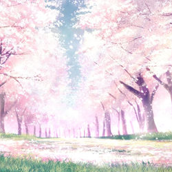 This is a pixiv picture whose title is 樱花の散落.