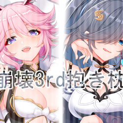 This is a pixiv picture whose title is 崩壊3rd抱き枕.