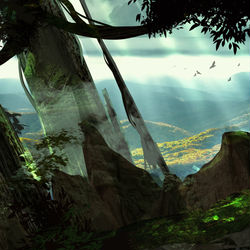 This is a pixiv picture whose title is forest.