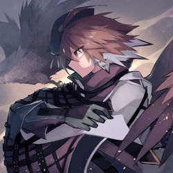 This is a pixiv picture whose title is 翼.